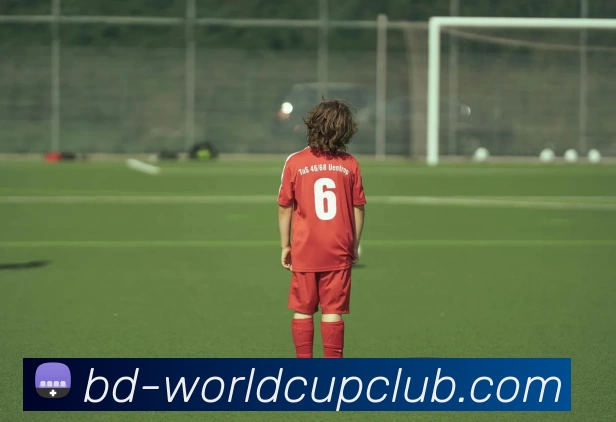 世界杯APP下载平台生态图